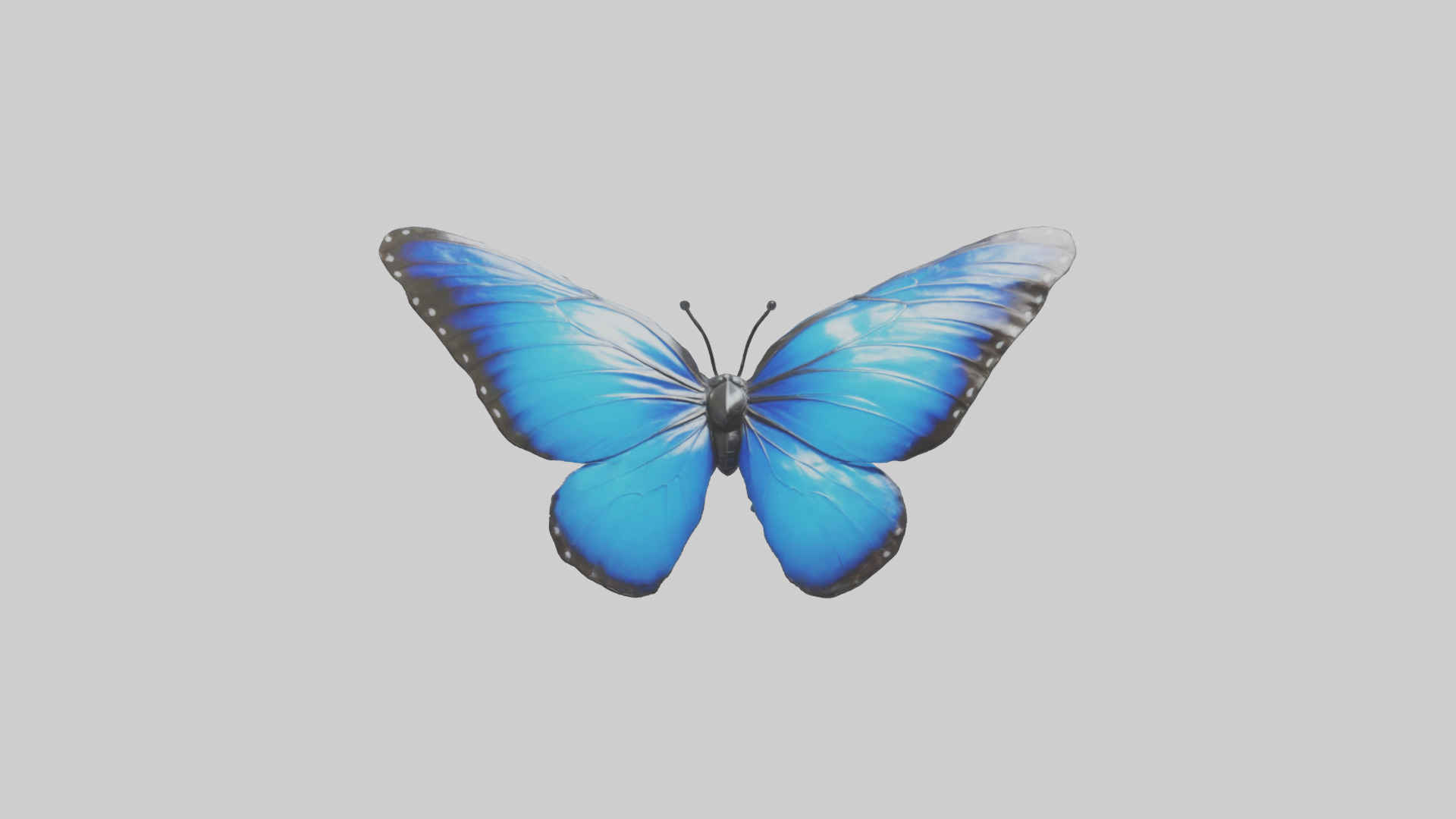 Blue Morpho Butterfly flying model Low-poly 3D model_9