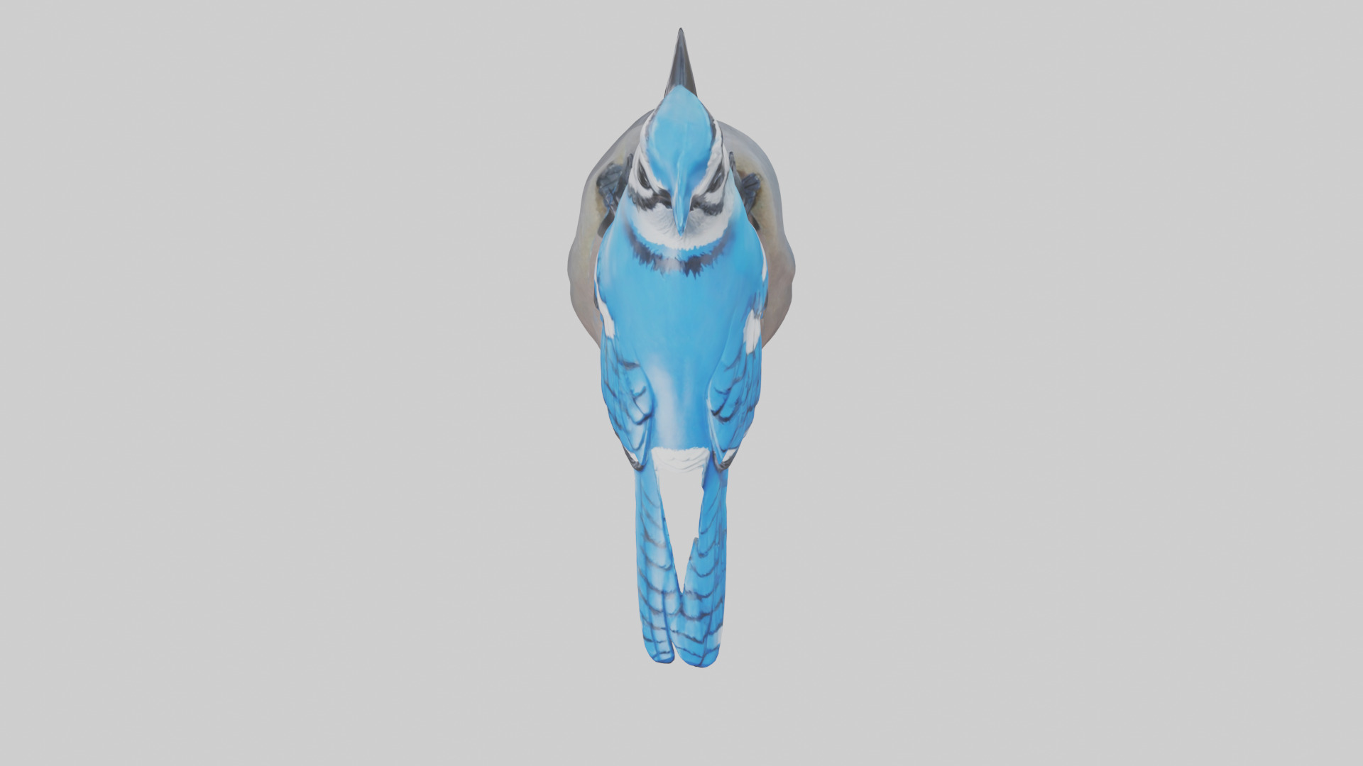 Blue Jay statue model Low-poly 3D model_14