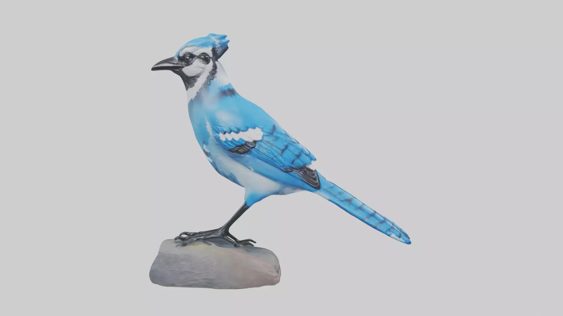 Blue Jay statue model Low-poly 3D model_0