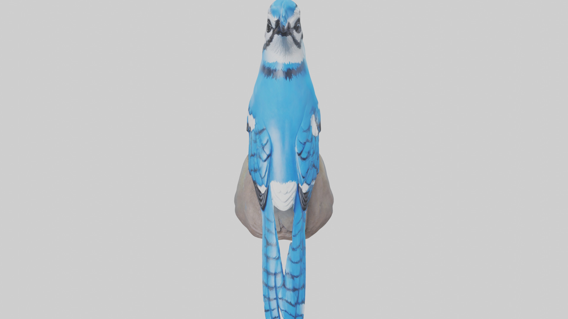 Blue Jay statue model Low-poly 3D model_16