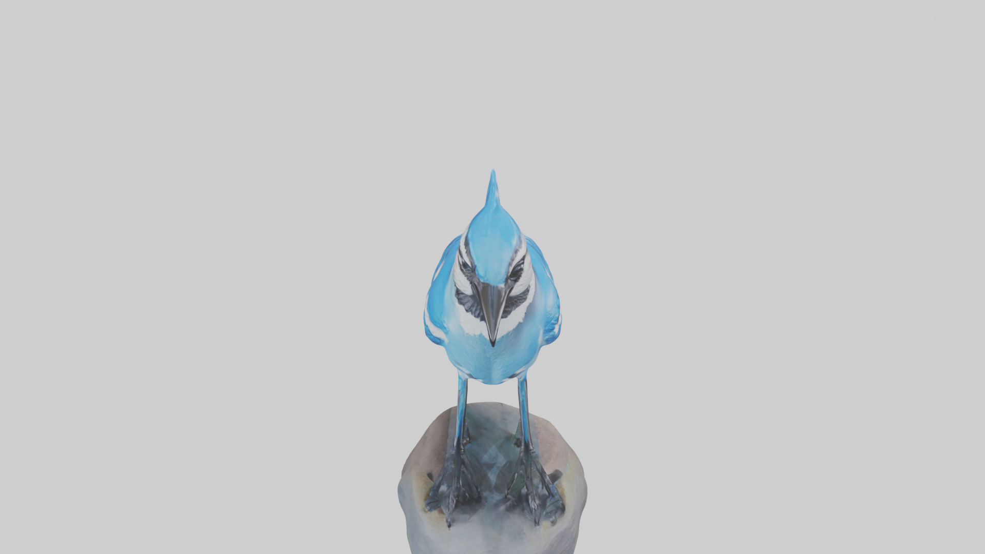 Blue Jay statue model Low-poly 3D model_15
