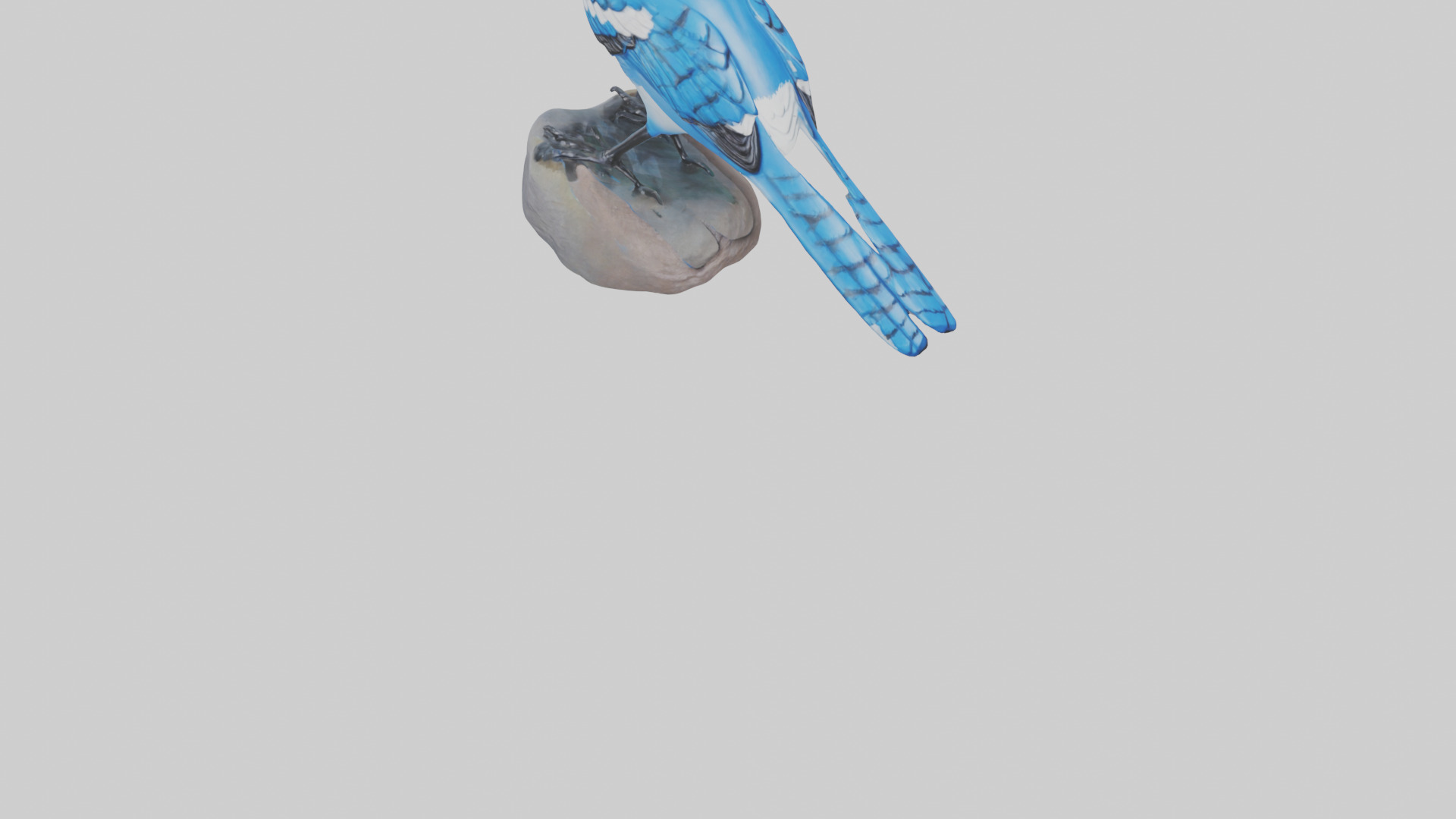 Blue Jay statue model Low-poly 3D model_7