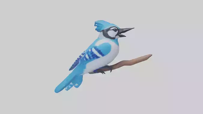 Blue Jay singing model