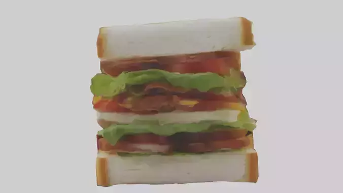 BLT sandwich model