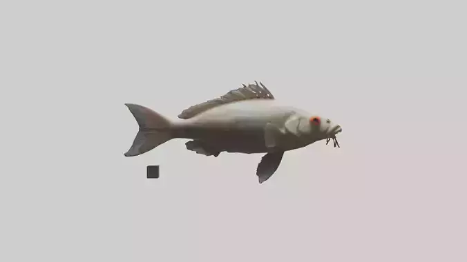 Blind Cave Fish swimming model