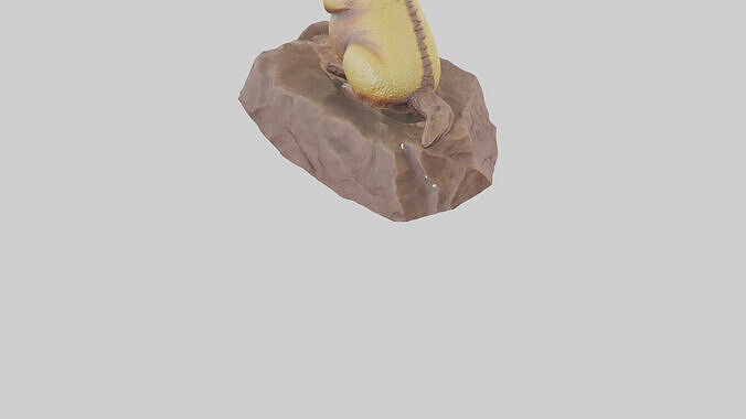 Blacktailed Prairie Dog statue model 3D model 4