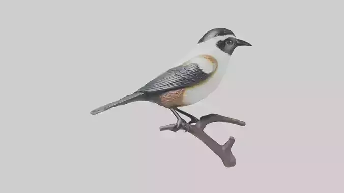 Blackcapped Chickadee statue model