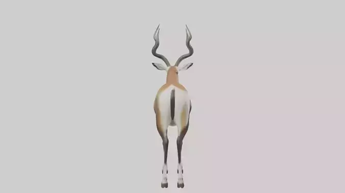 Blackbuck standing tall model