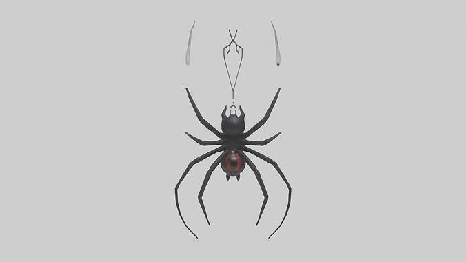 Black Widow Spider hanging model 3D model