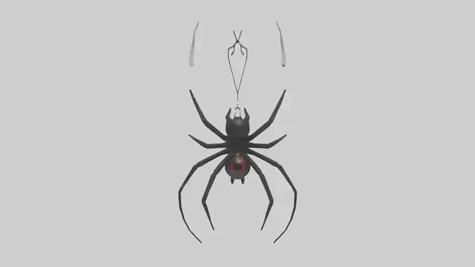 Black Widow Spider hanging model
