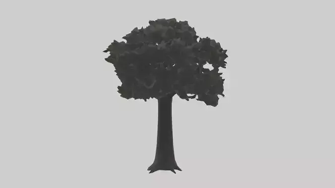 Black Tupelo tree model