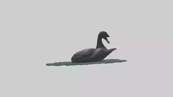 Black Swan swimming model