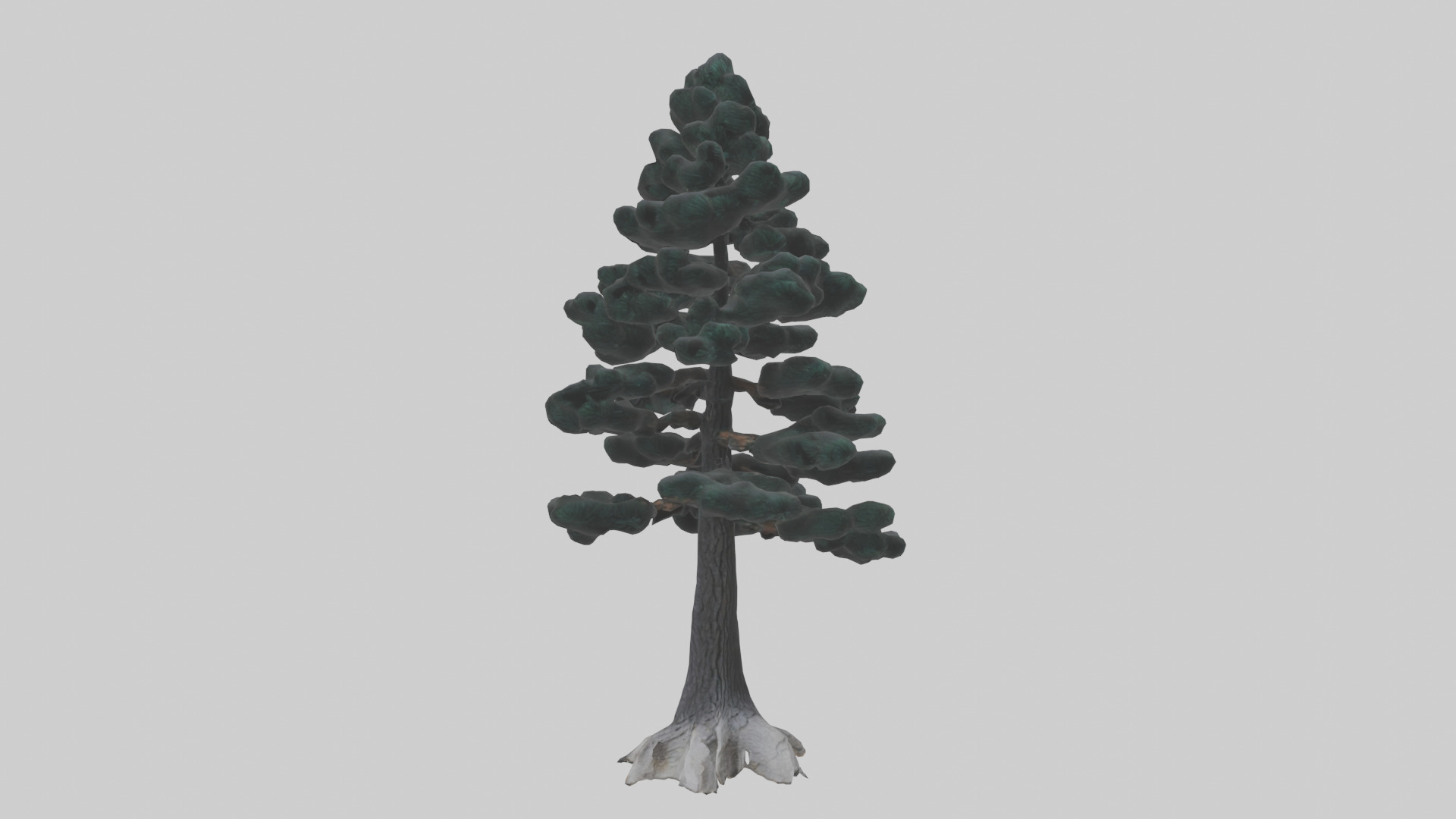 Black Pine tree model 3D model_11