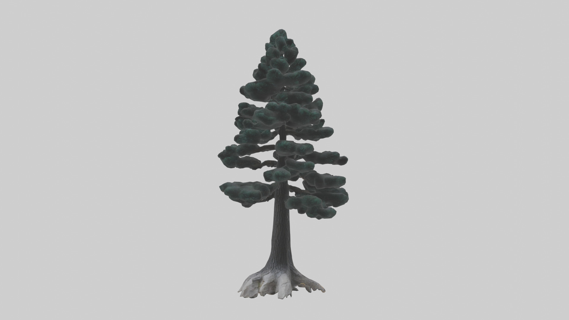 Black Pine tree model 3D model_9