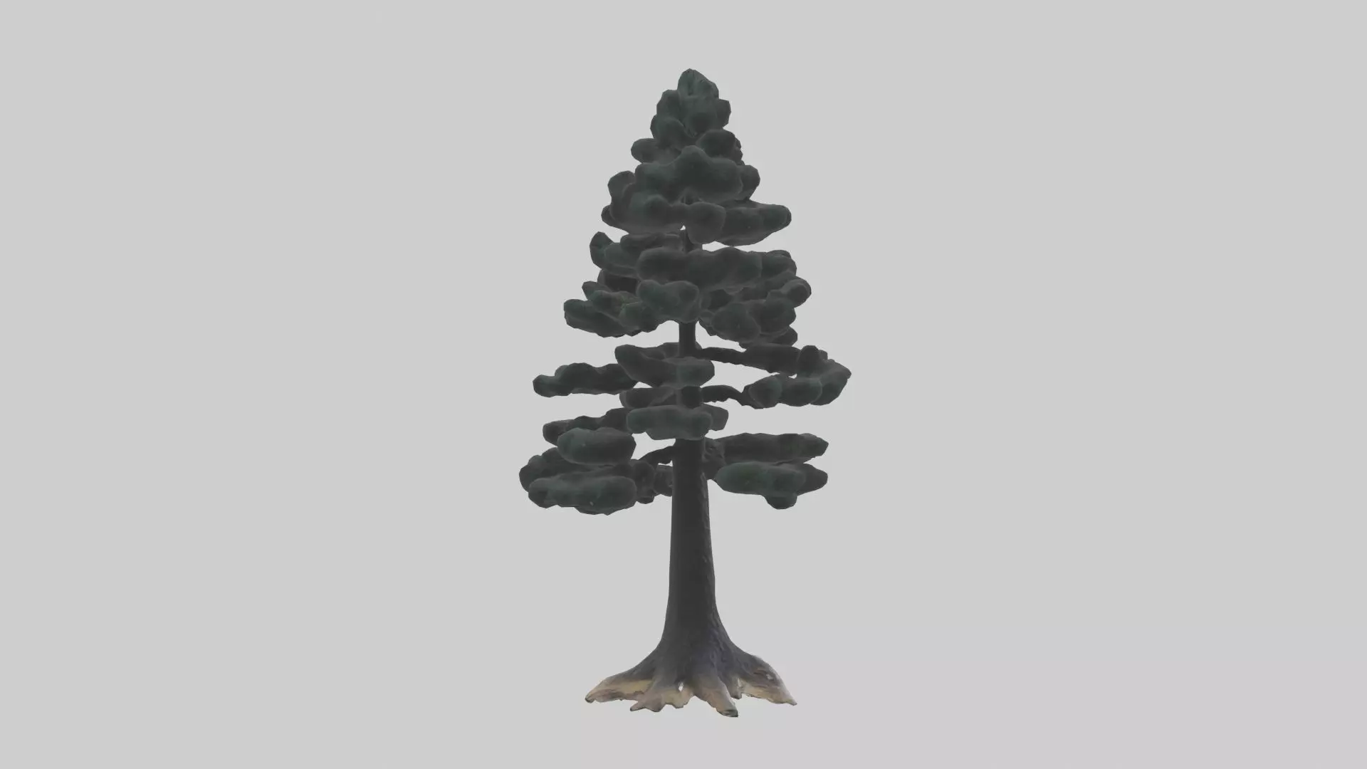 Black Pine tree model 3D model_0