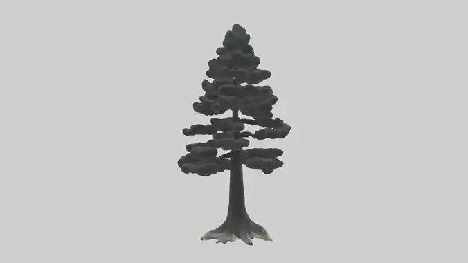 Black Pine tree model
