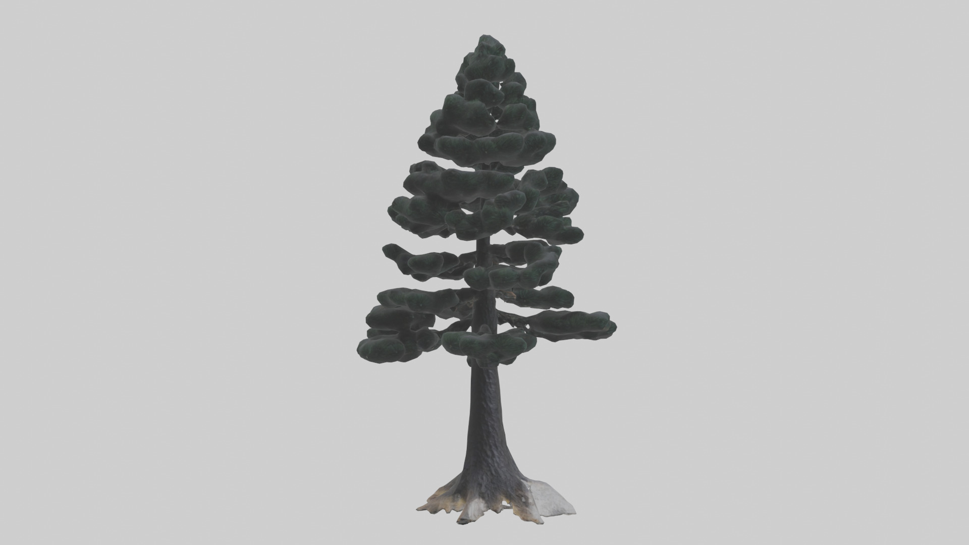 Black Pine tree model 3D model_2