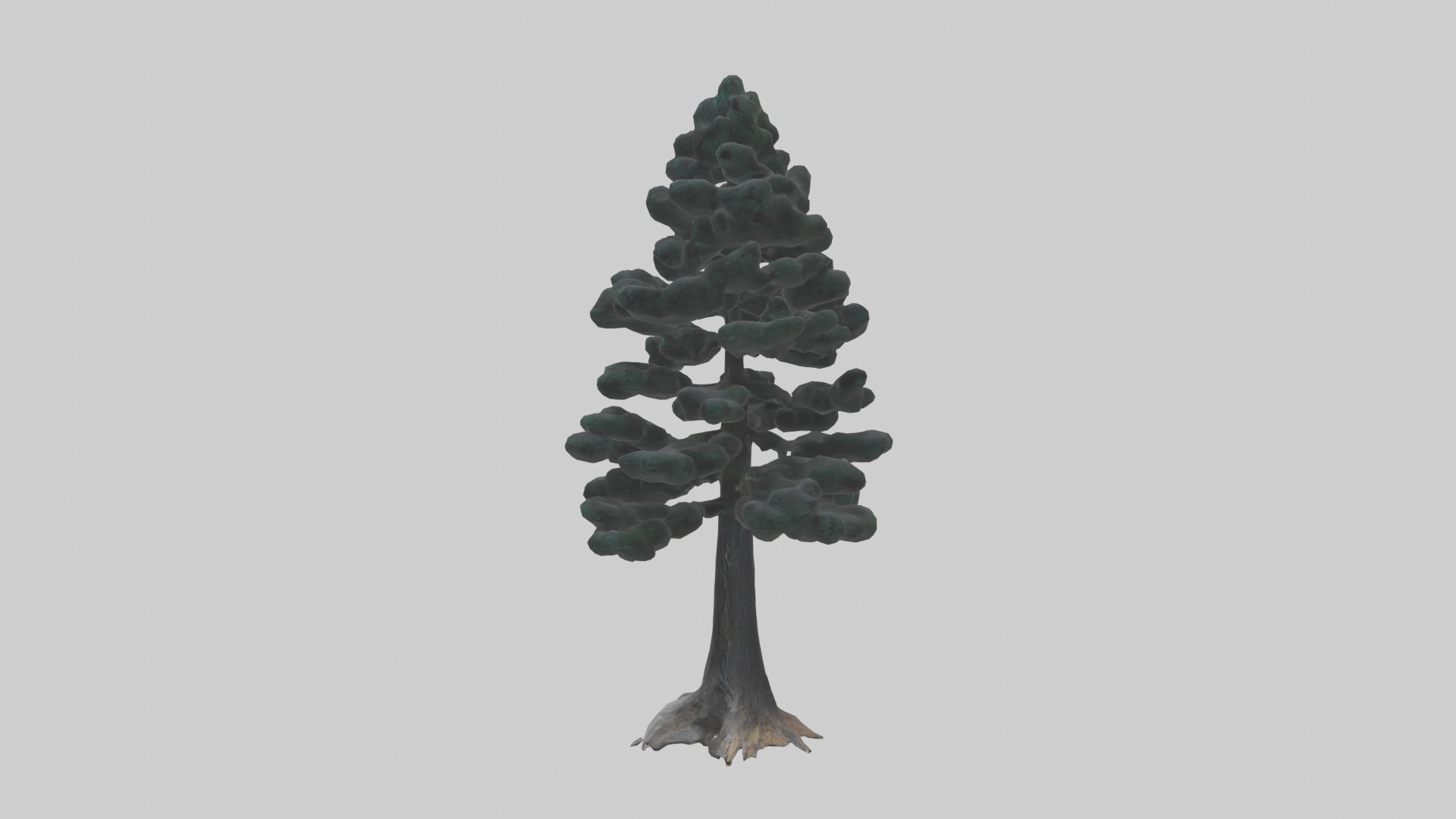 Black Pine tree model 3D model_12