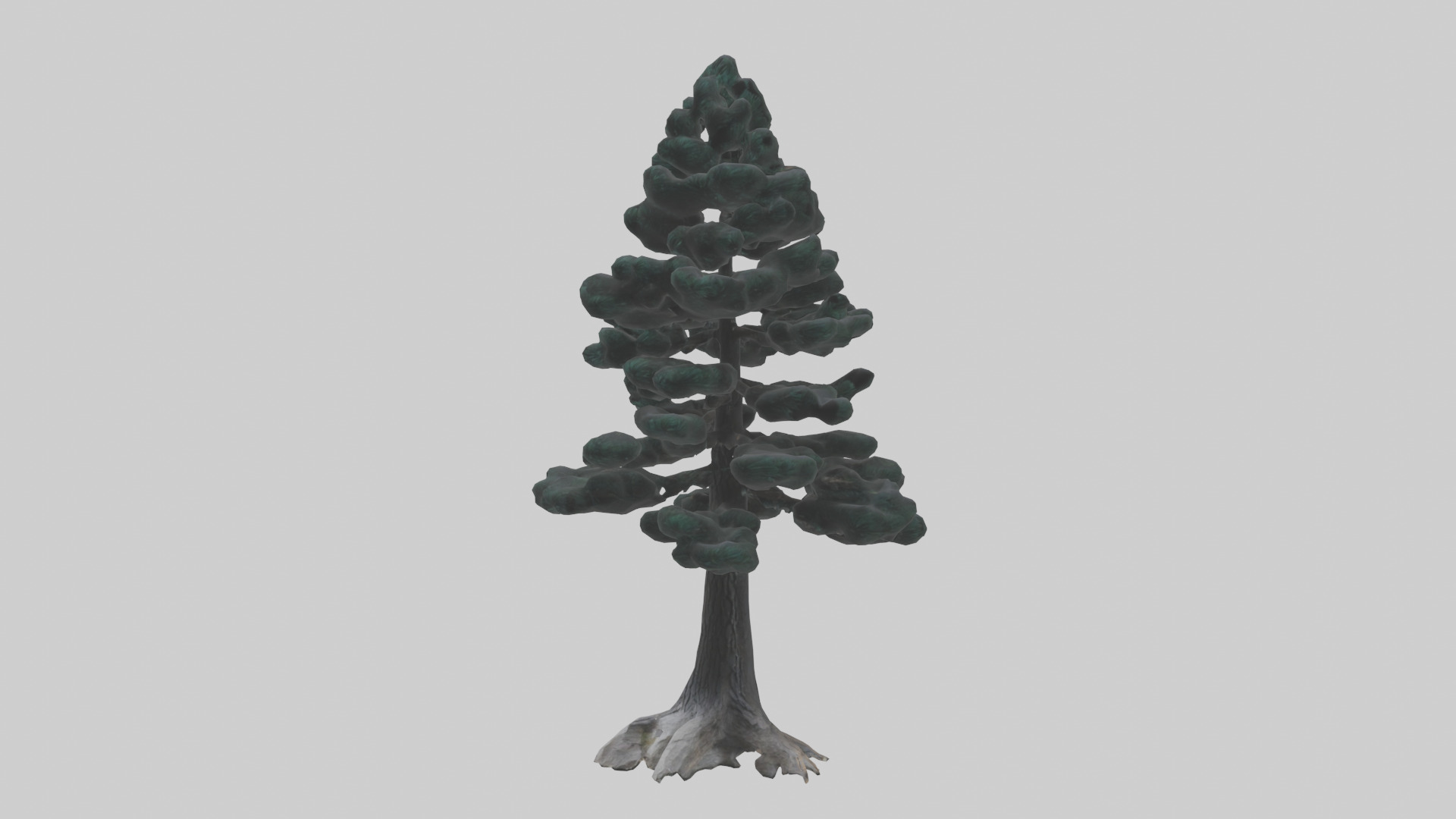 Black Pine tree model 3D model_8
