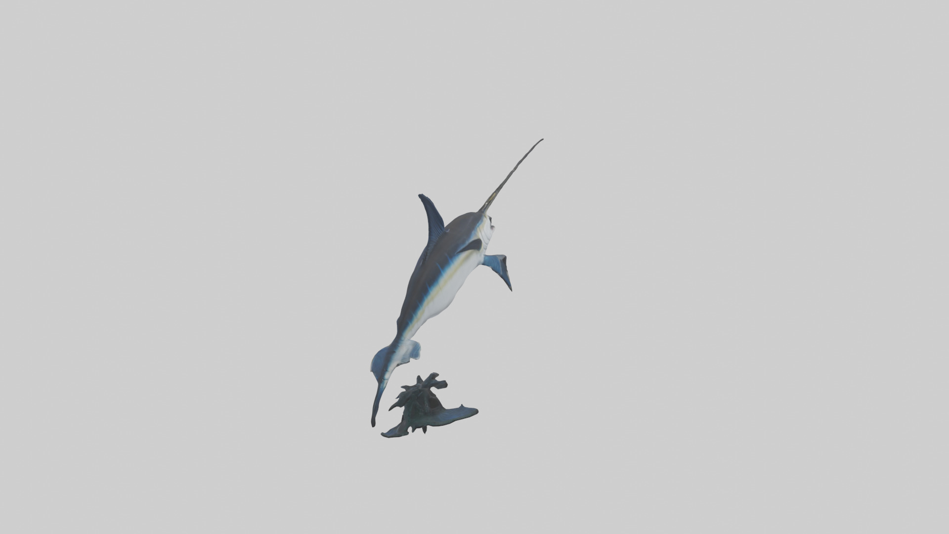 Black Marlin hunting model 3D model_1
