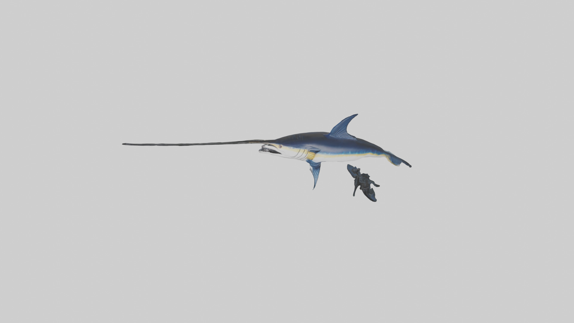 Black Marlin hunting model 3D model_16