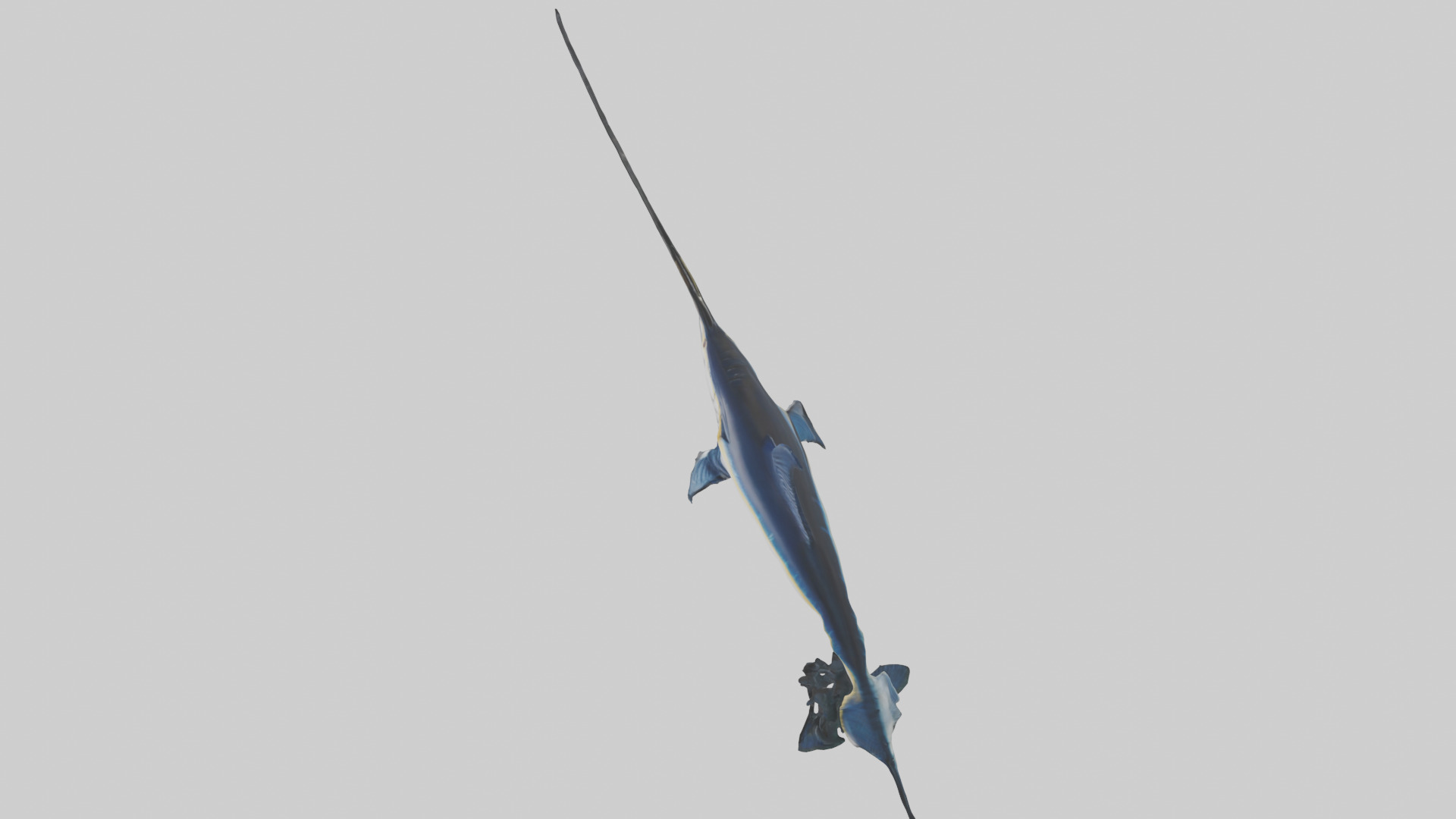 Black Marlin hunting model 3D model_17