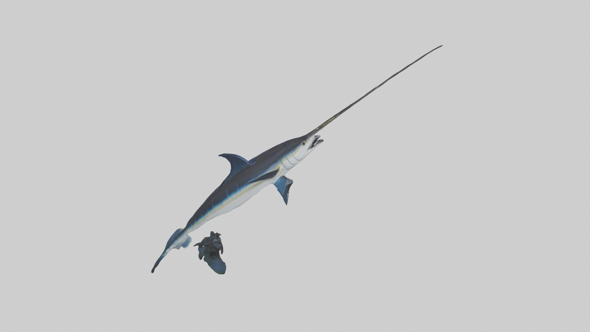Black Marlin hunting model 3D model_15