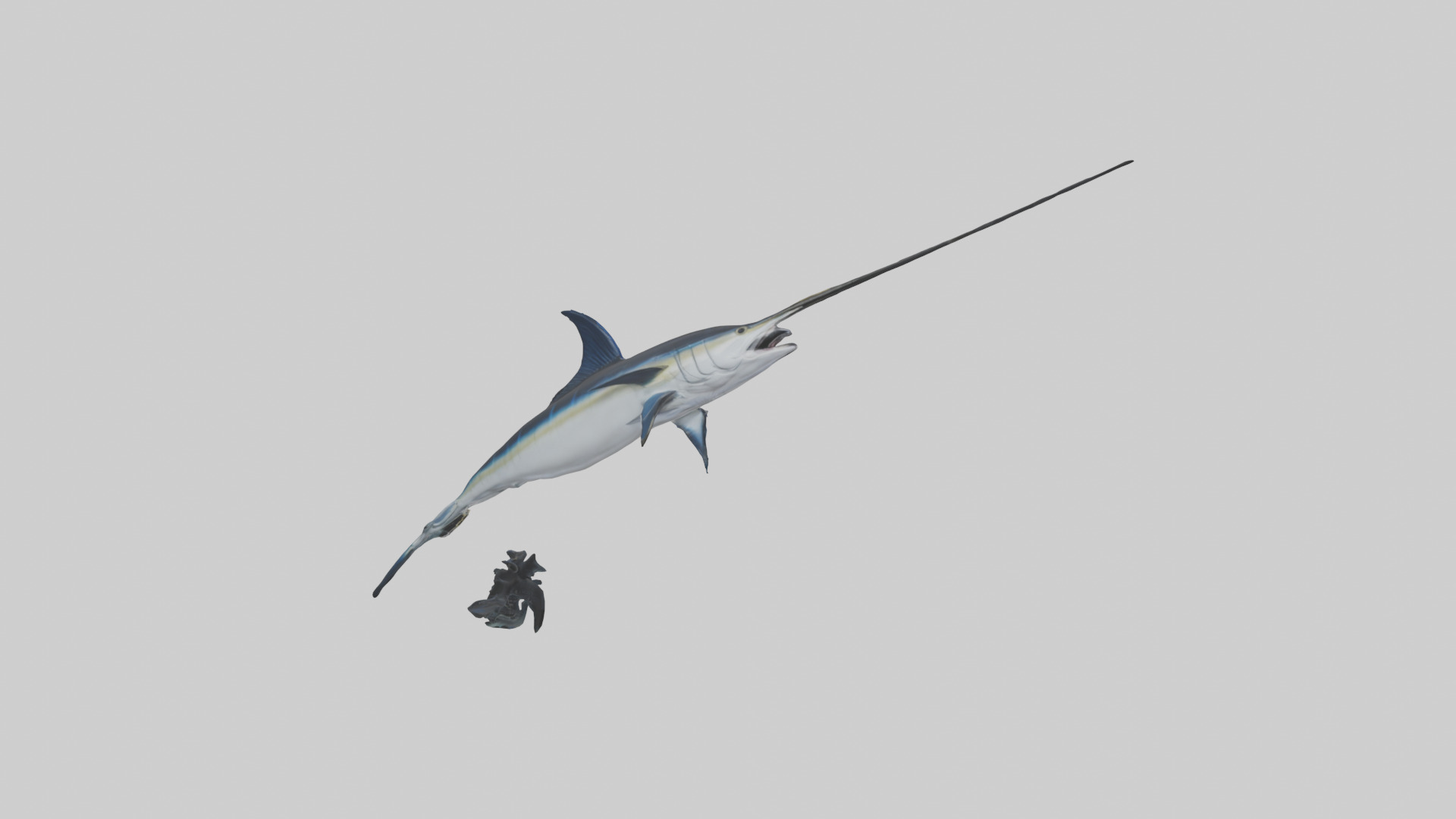Black Marlin hunting model 3D model_2