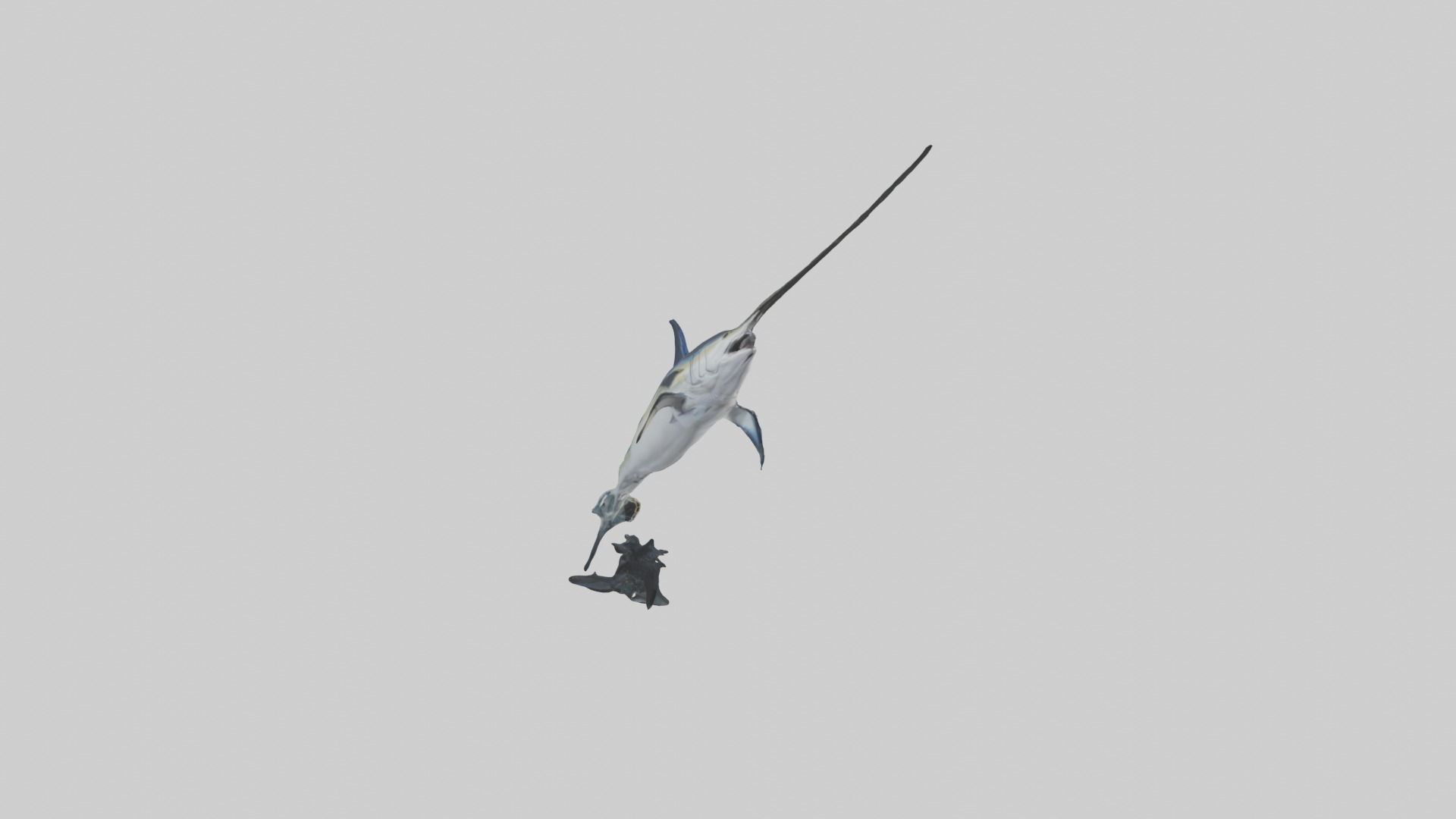 Black Marlin hunting model 3D model_13