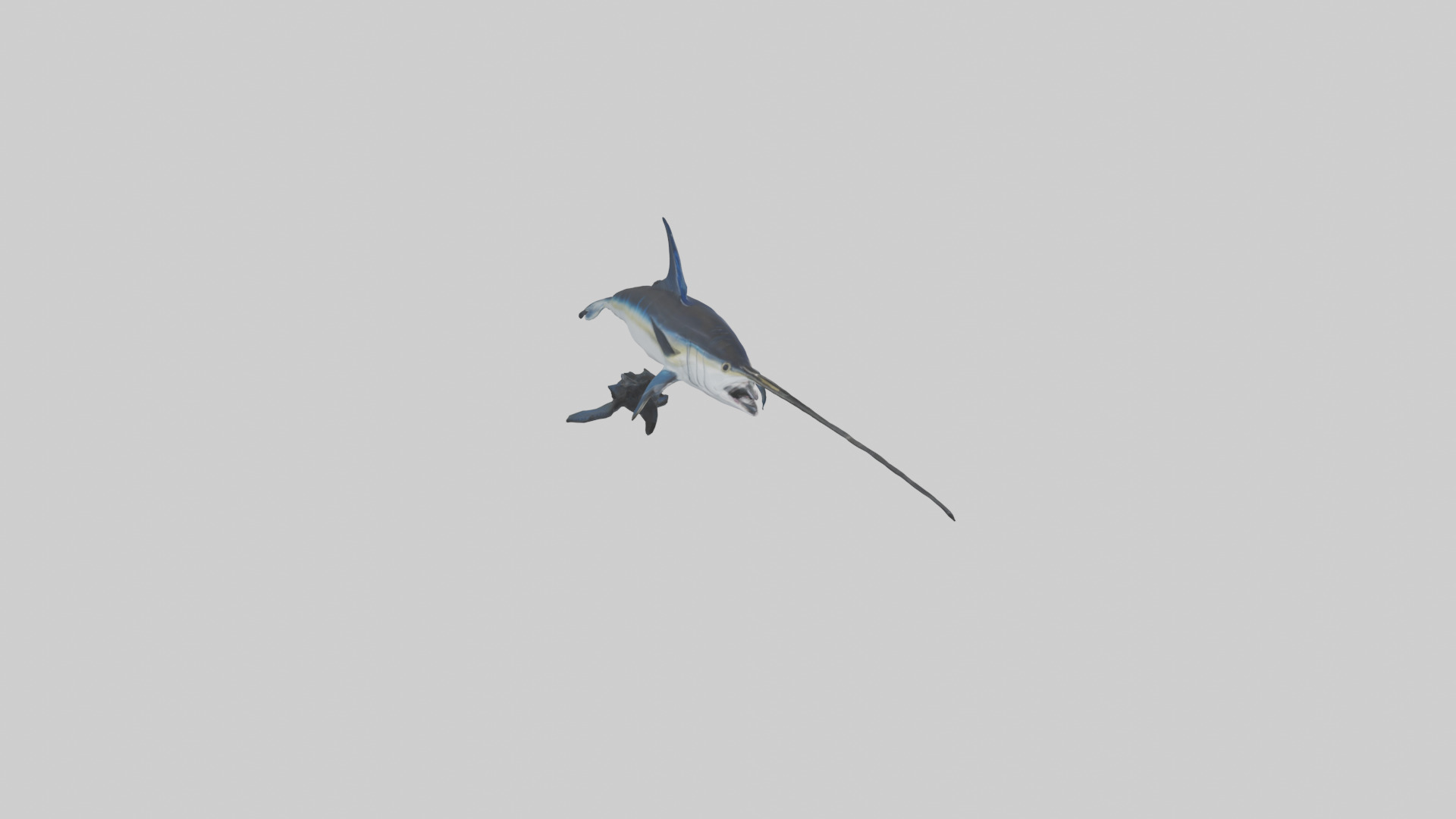 Black Marlin hunting model 3D model_18