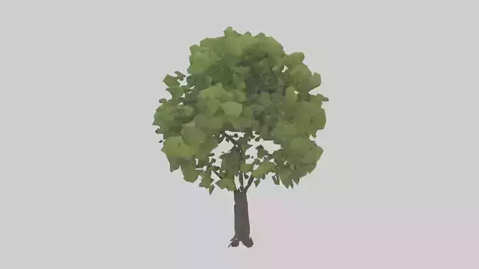 Black locust tree model