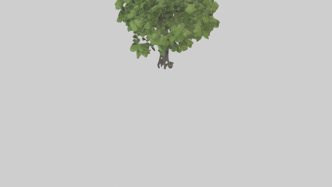 Black locust tree model 3D model 6