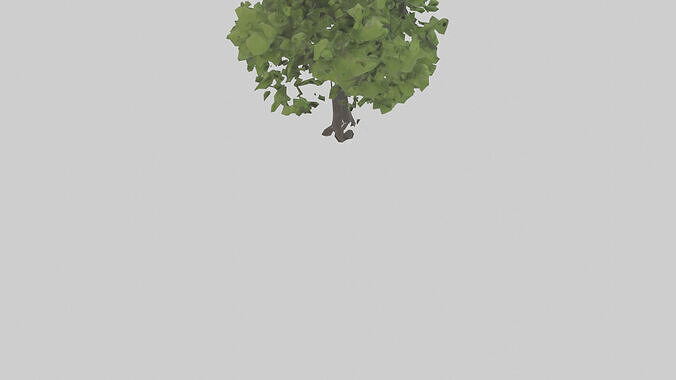 Black locust tree model 3D model 5