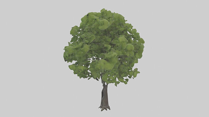 Black locust tree model 3D model 2