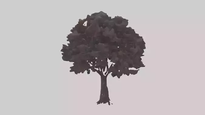 Black Cherry tree model