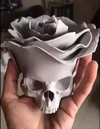 Rose Skull