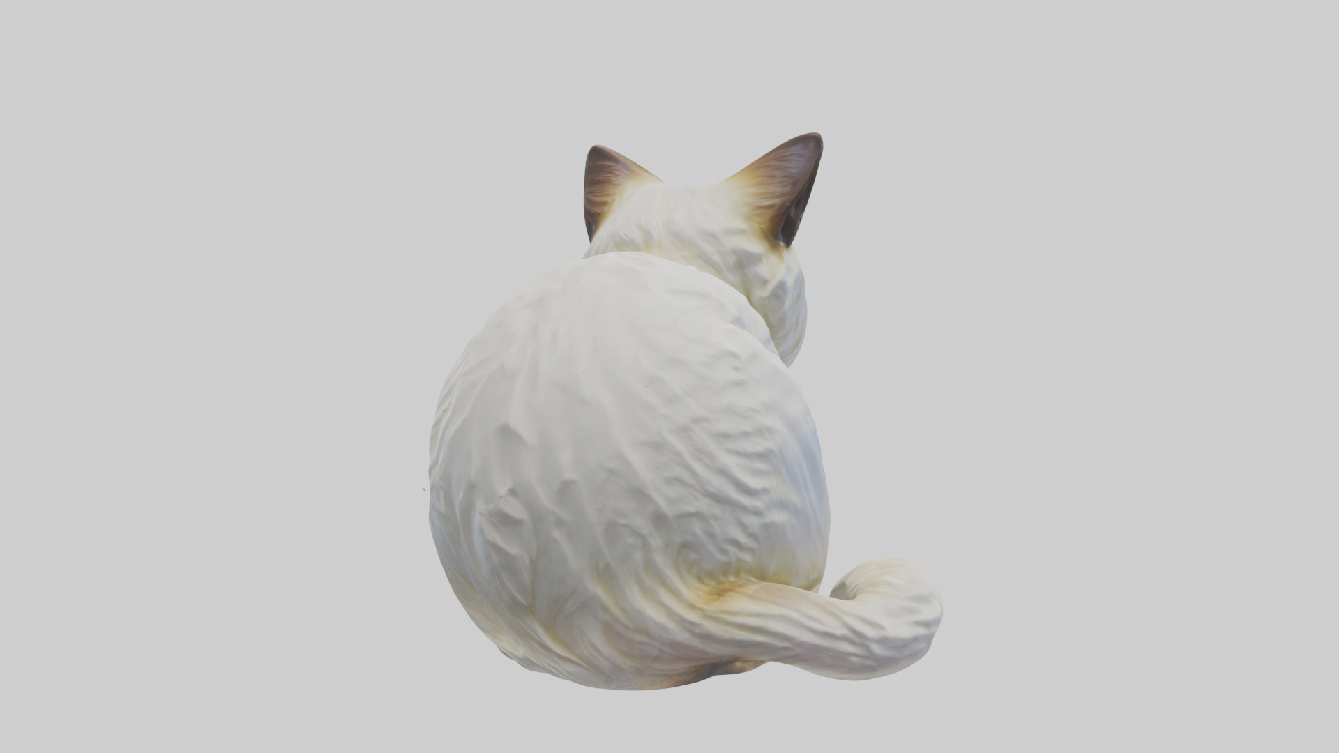 Birman Cat statue model Low-poly 3D model_2