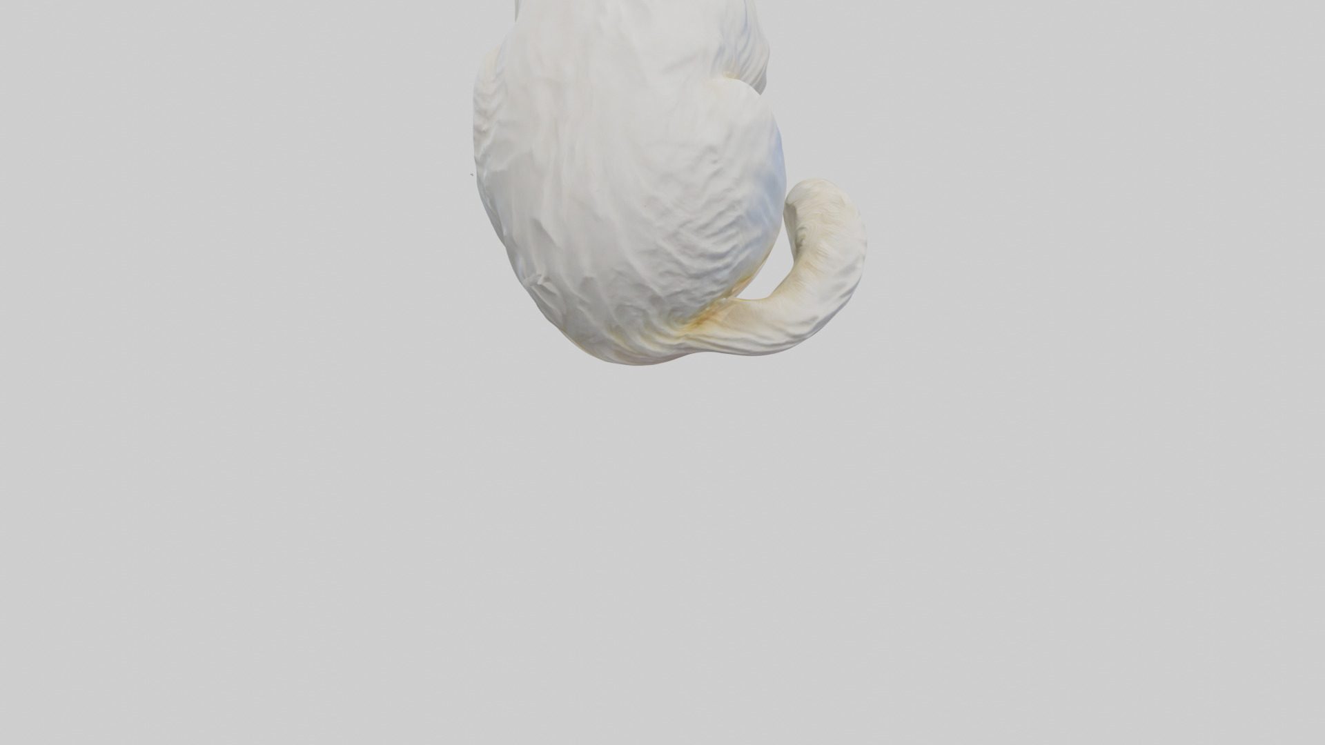 Birman Cat statue model Low-poly 3D model_4