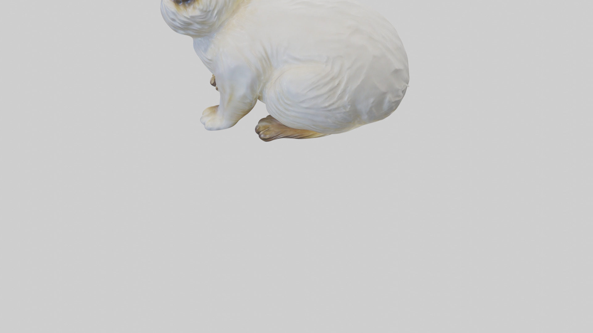 Birman Cat statue model Low-poly 3D model_3