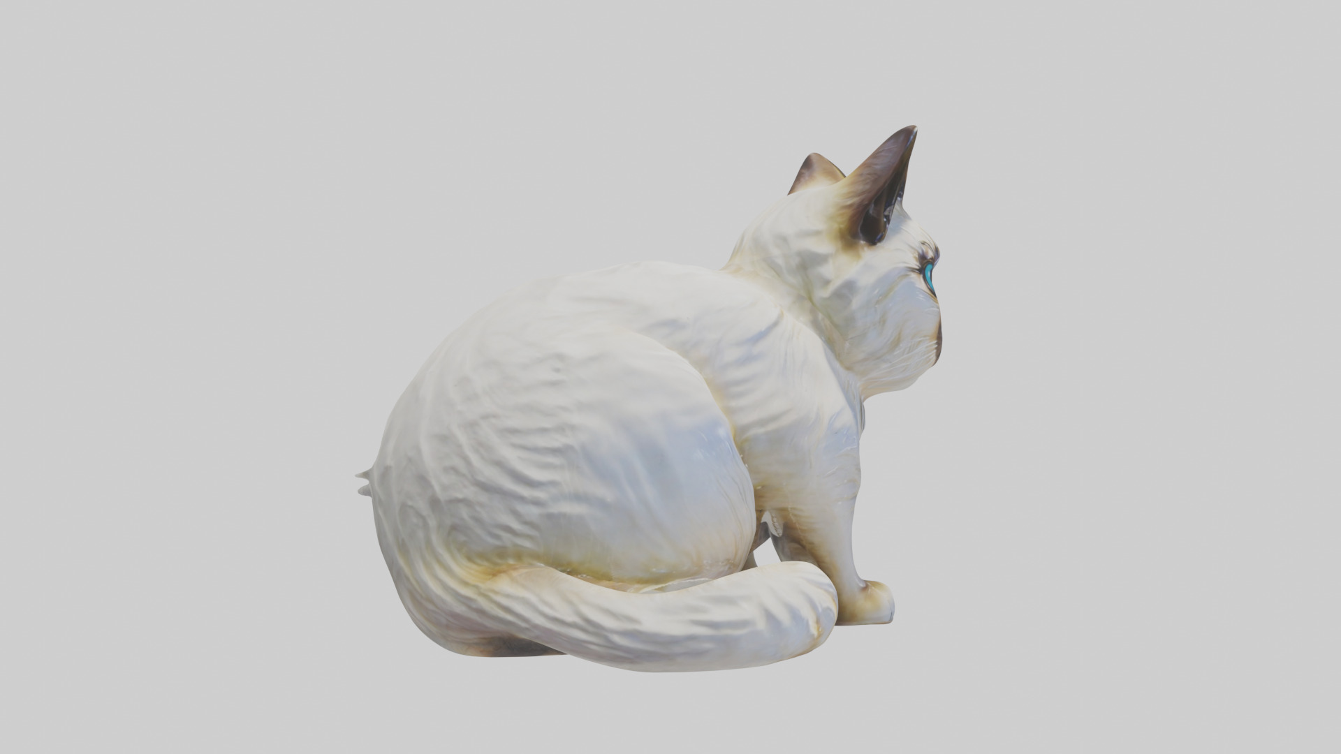 Birman Cat statue model Low-poly 3D model_13
