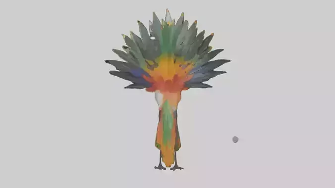 Bird of Paradise showing feathers model Low-poly 3D model