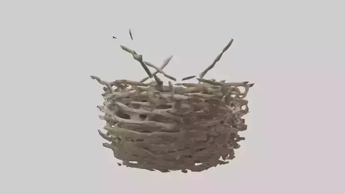Bird Nest Sculpture model