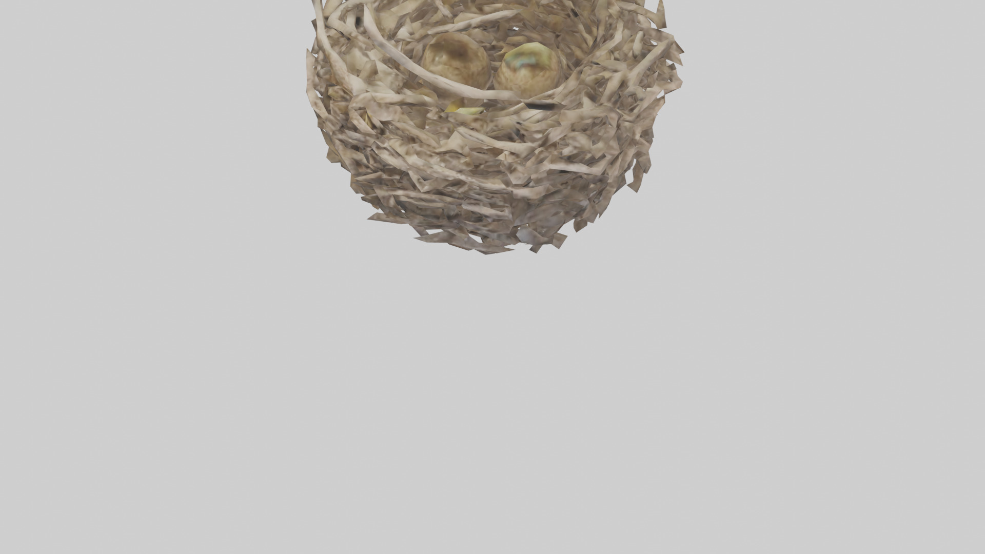 Bird Nest Sculpture model 3D model_5
