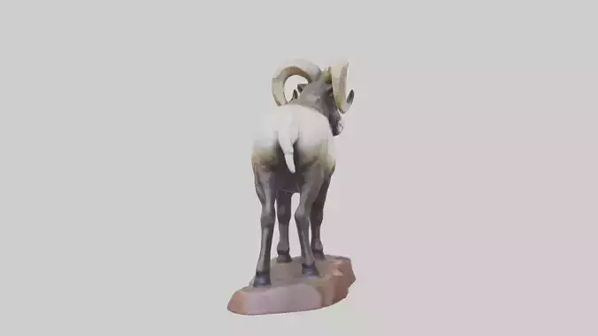 Bighorn Sheep statue model