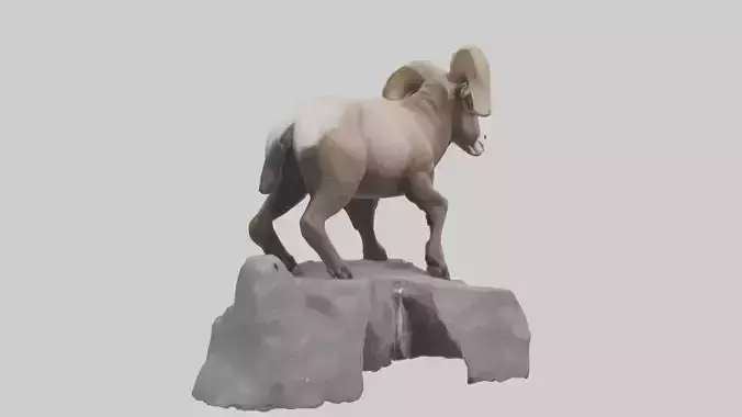 Bighorn Sheep climbing rocks model
