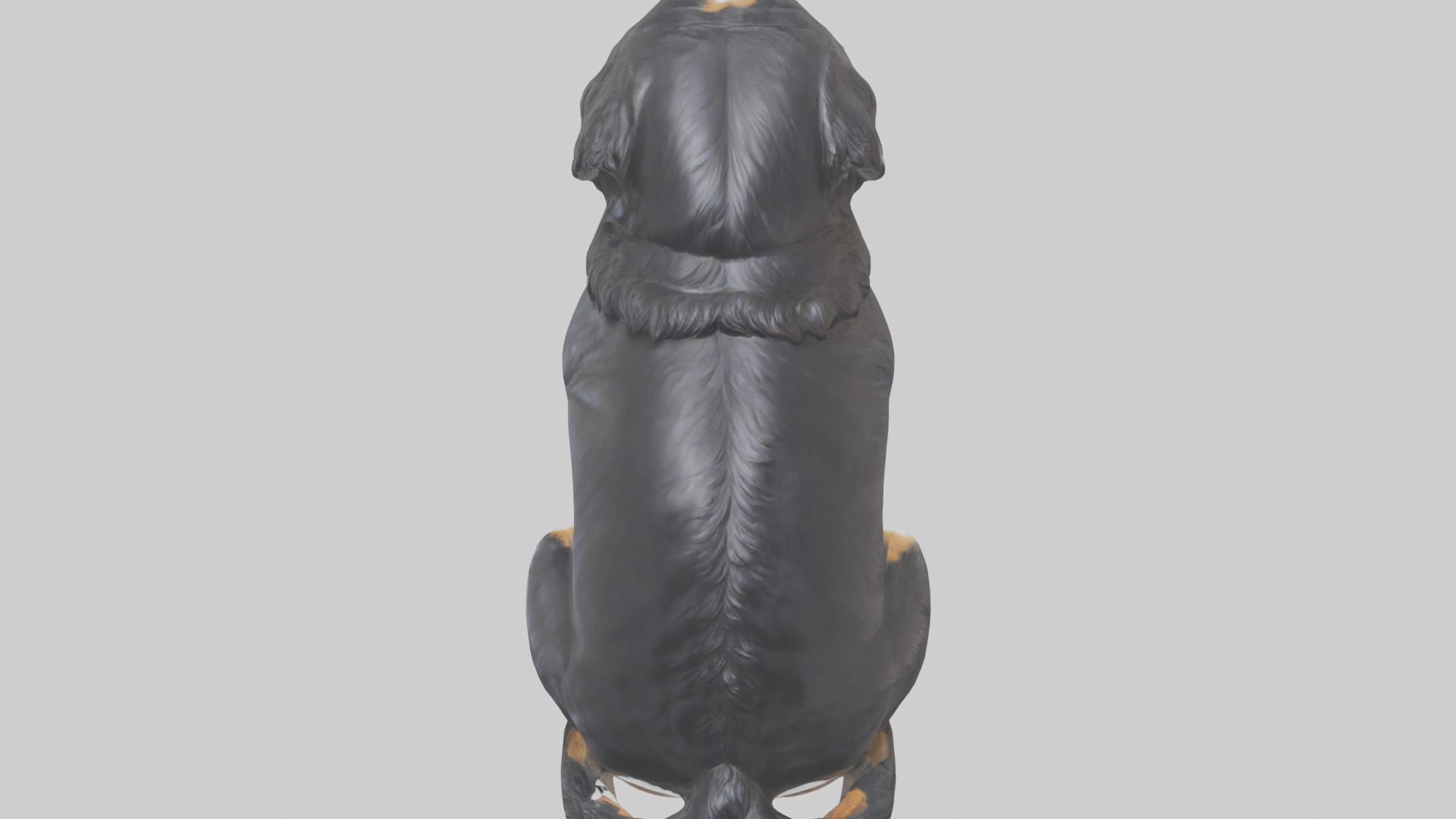 Bernese Mountain Dog statue model Low-poly 3D model_15