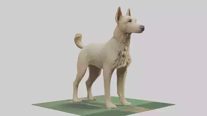 Berger Picard herding model Low-poly 3D model