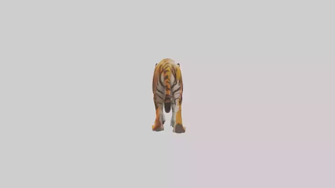 Bengal Tiger walking model