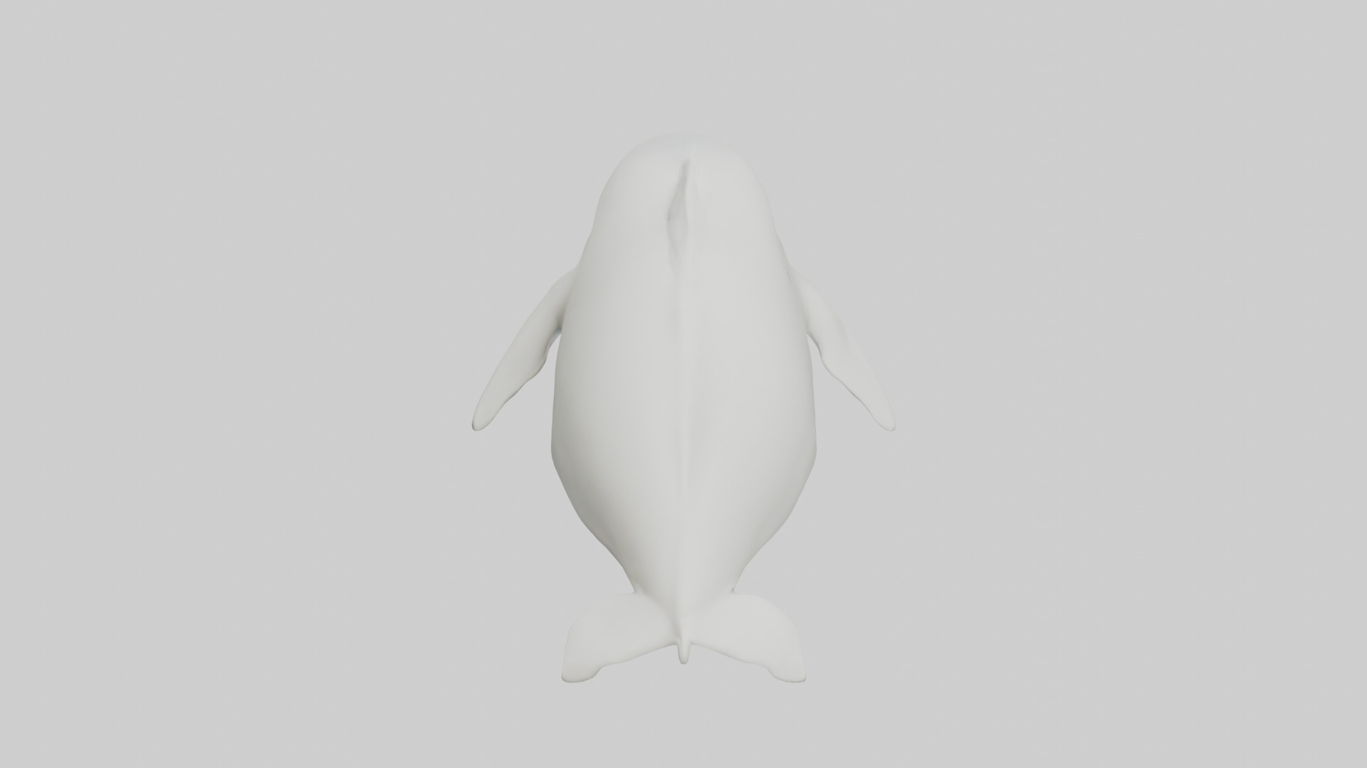 Beluga Whale swimming model Low-poly 3D model_15