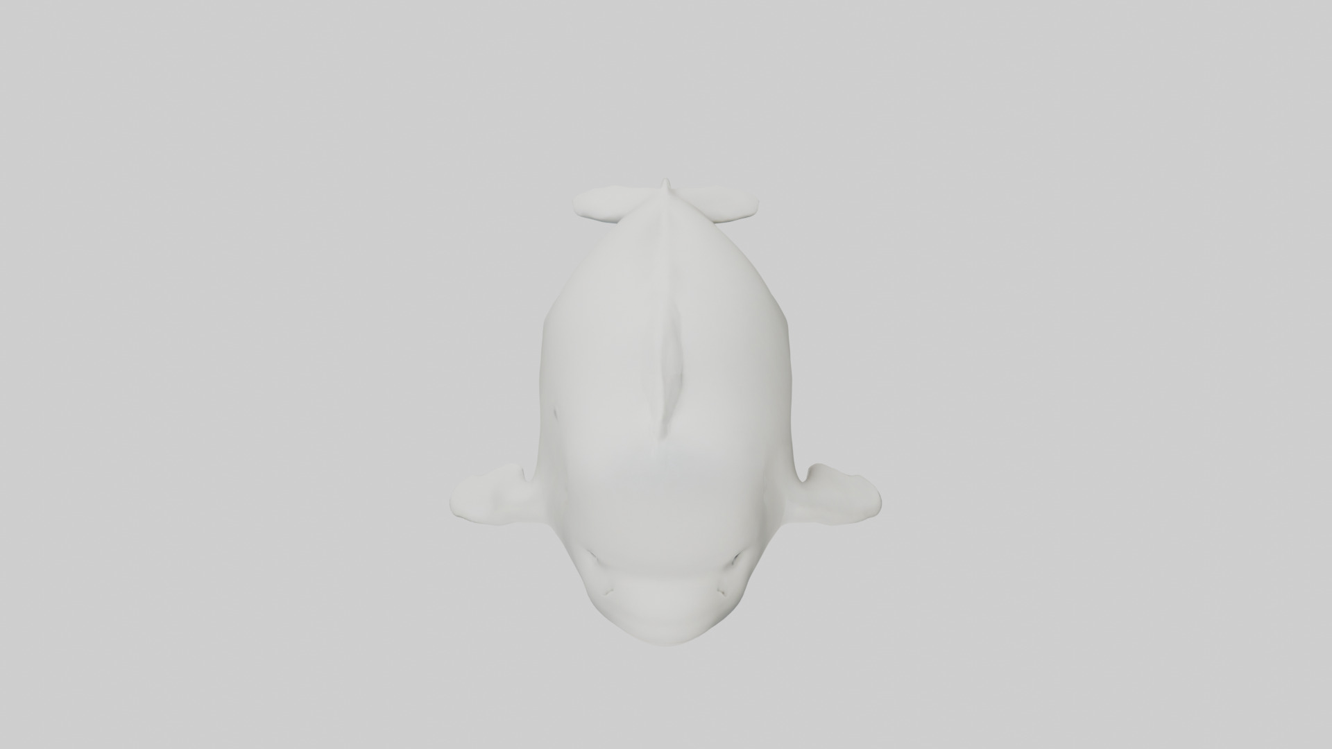 Beluga Whale swimming model Low-poly 3D model_16